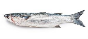 mullet